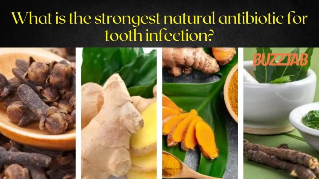What is the strongest natural antibiotic for tooth infection